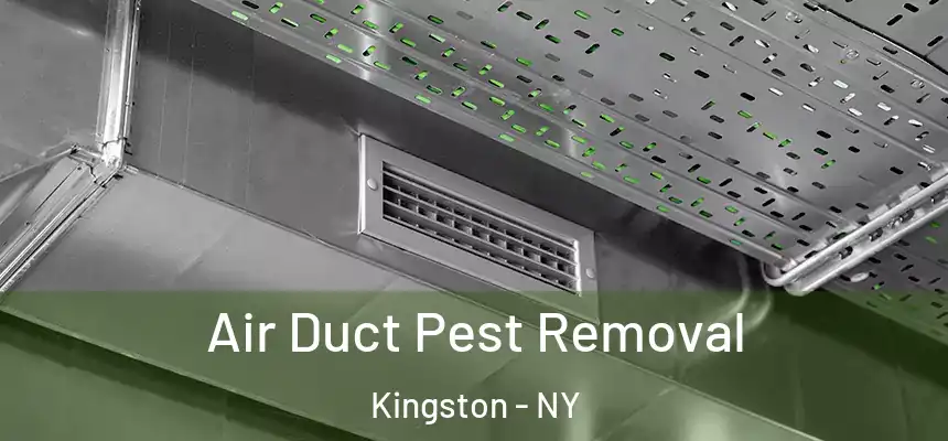 Air Duct Pest Removal Kingston - NY
