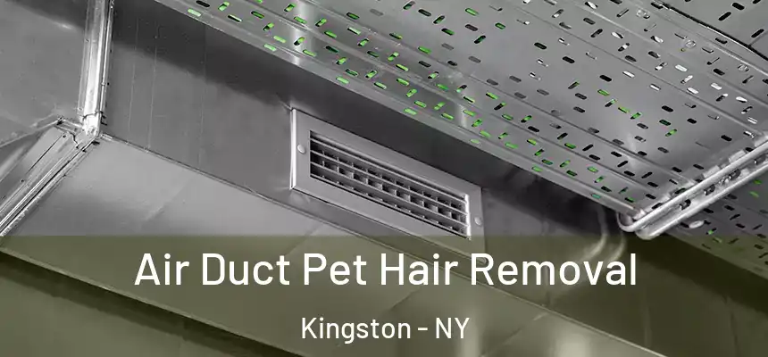 Air Duct Pet Hair Removal Kingston - NY