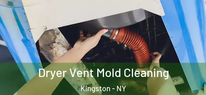 Dryer Vent Mold Cleaning Kingston - NY