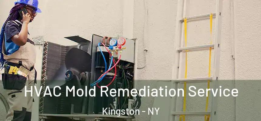  HVAC Mold Remediation Service Kingston - NY