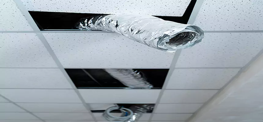 Our Air Duct Pet Hair Removal Services in Kingston, NY