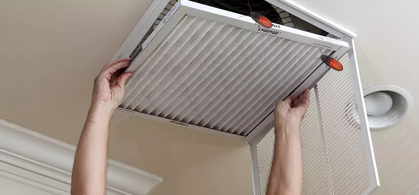 Our Insect Removal from Air Ducts Services in Kingston, NY
