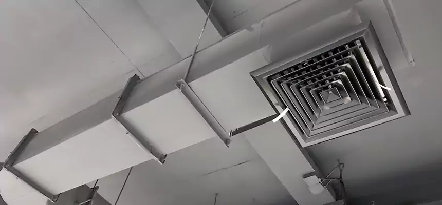 Our Pest Removal From Ducts Services in Kingston, NY