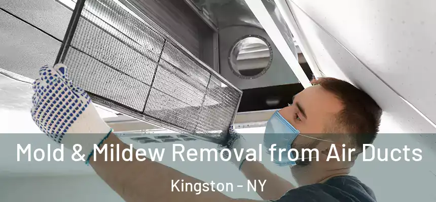 Mold & Mildew Removal from Air Ducts Kingston - NY