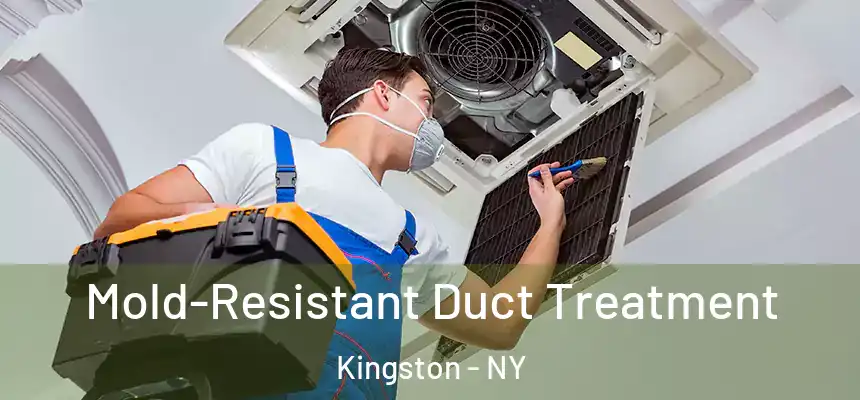  Mold-Resistant Duct Treatment Kingston - NY
