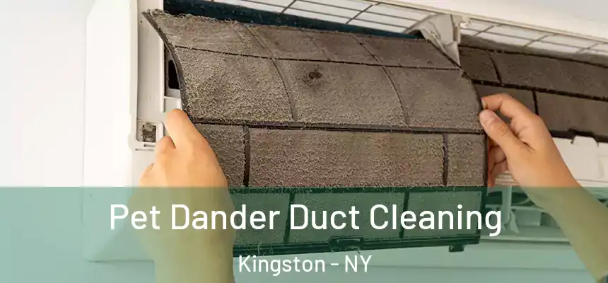 Pet Dander Duct Cleaning Kingston - NY