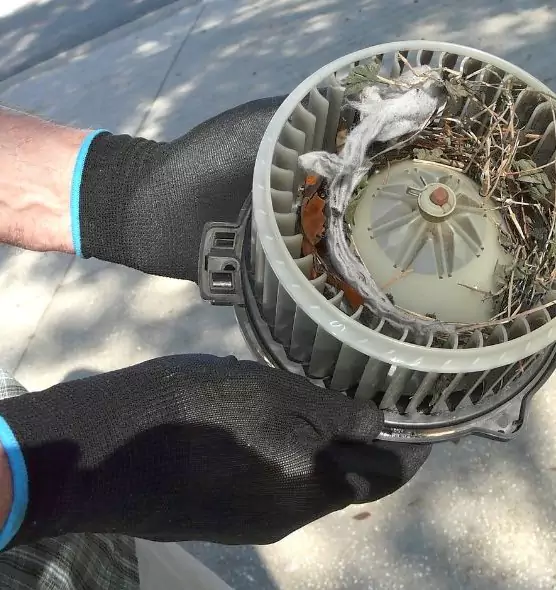 About Air Duct Rat Removal in Kingston, NY