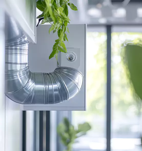 Professional Eco-Safe Dryer Vent Cleaning in Kingston, NY