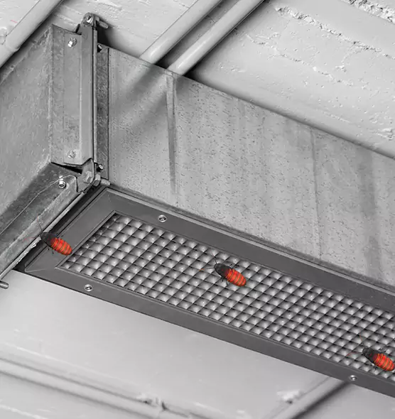 Affordable Insect Removal from Air Ducts in Kingston, NY