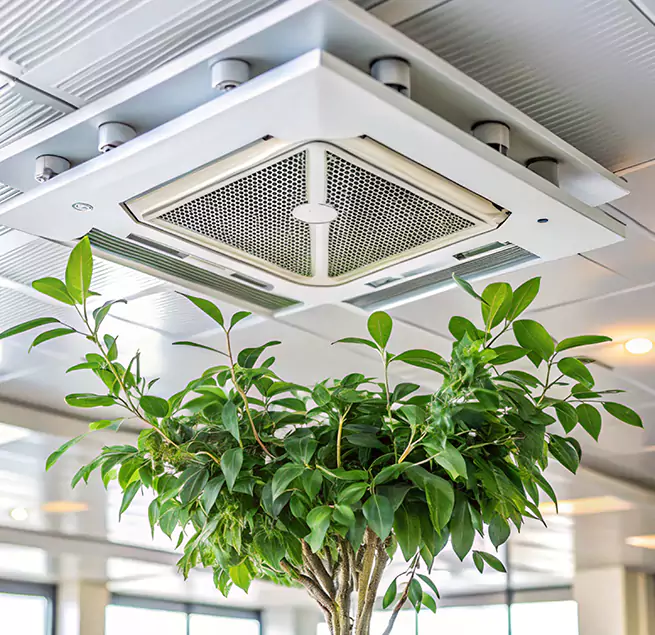 Why Homeowners & Businesses Trust Us in Kingston, NY?