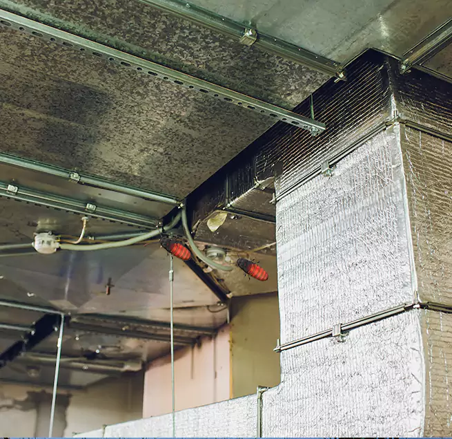 Why Homeowners & Businesses Trust Us Kingston, NY?