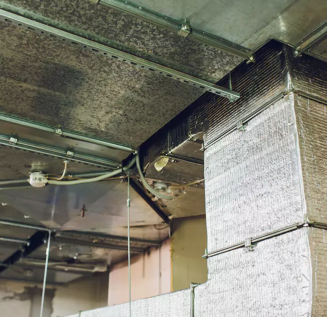 Why Homeowners & Businesses Trust Us in Kingston, NY?